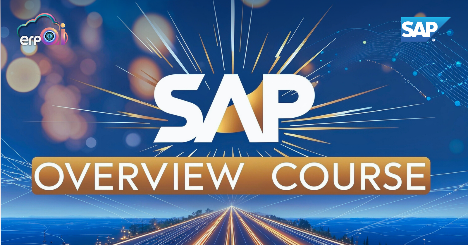 SAP Overview